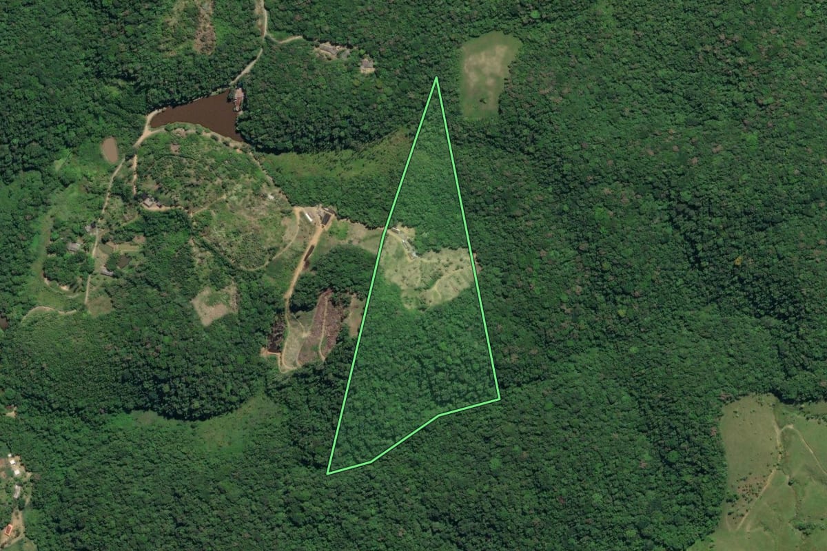 Imagem de satélite do imóvel rural em Juquiá (SP), com o contorno declarado no CAR desenhado por cima.