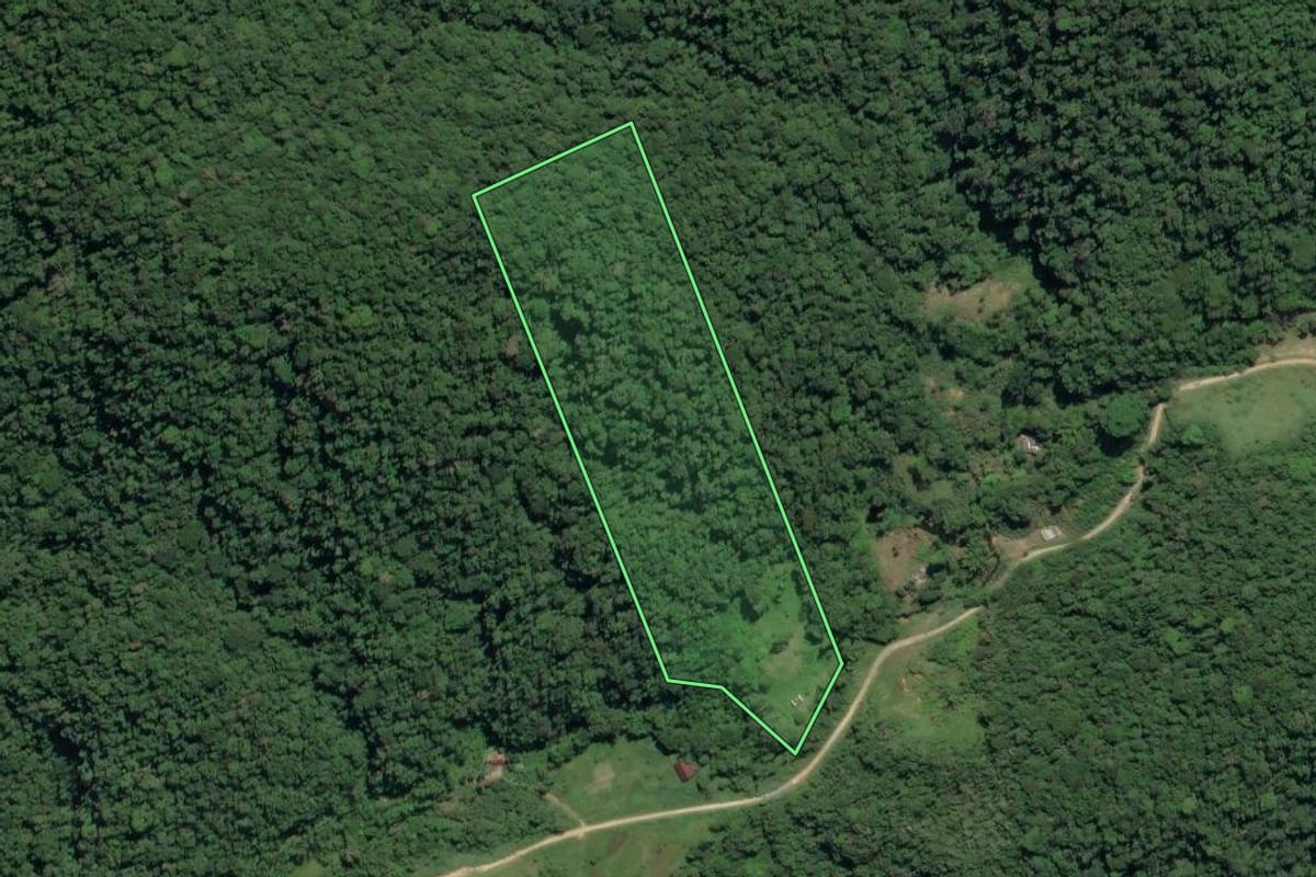 Imagem de satélite do imóvel rural em Juquiá (SP), com o contorno declarado no CAR desenhado por cima.