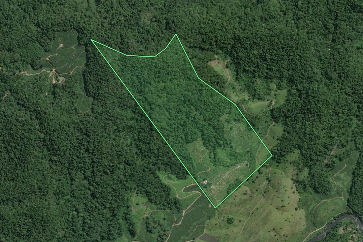 Imagem de satélite do imóvel rural em Juquiá (SP), com o contorno declarado no CAR desenhado por cima.