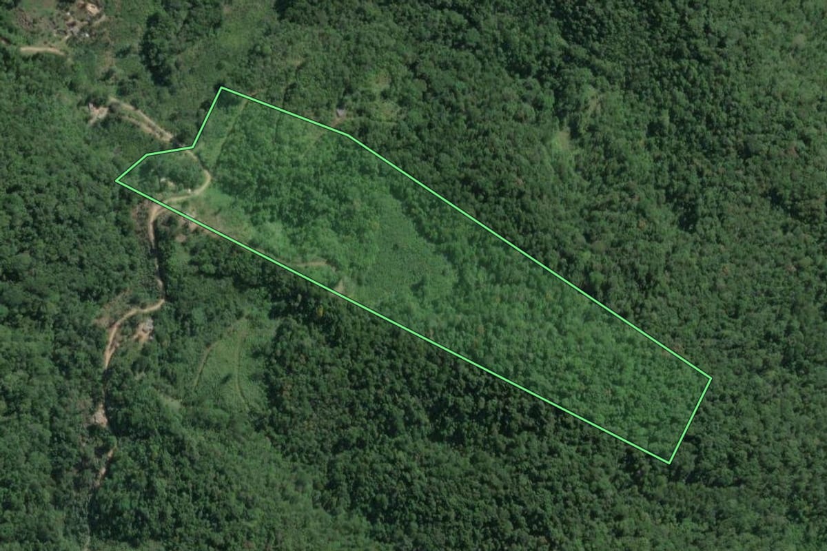 Imagem de satélite do imóvel rural em Juquiá (SP), com o contorno declarado no CAR desenhado por cima.