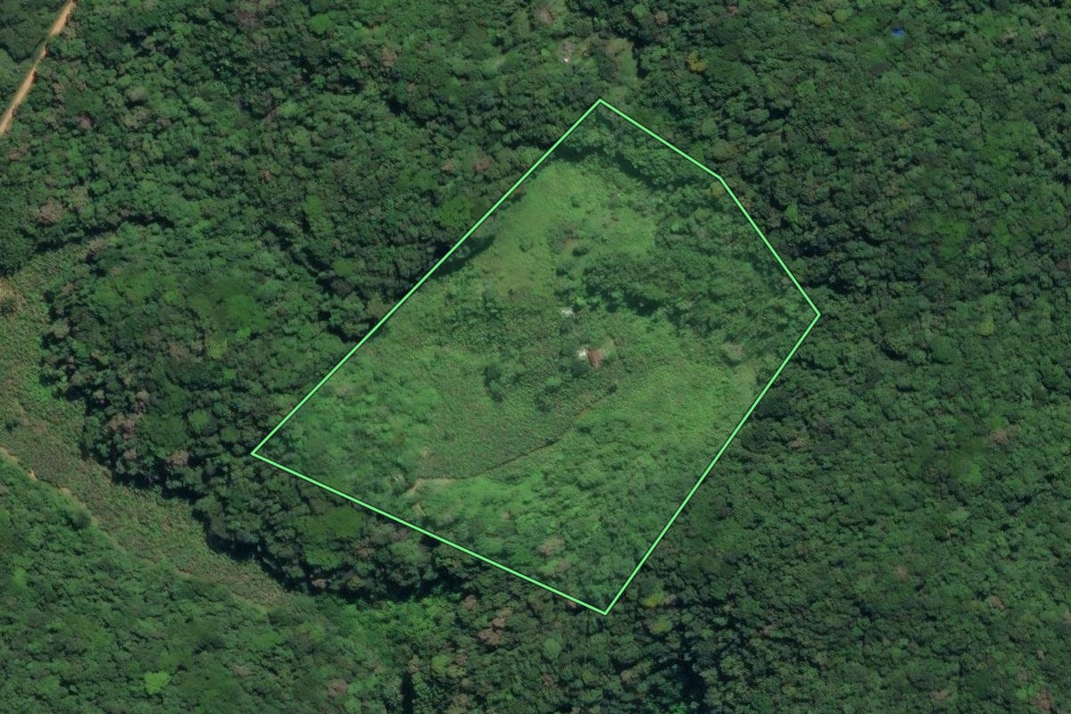 Imagem de satélite do imóvel rural em Juquiá (SP), com o contorno declarado no CAR desenhado por cima.