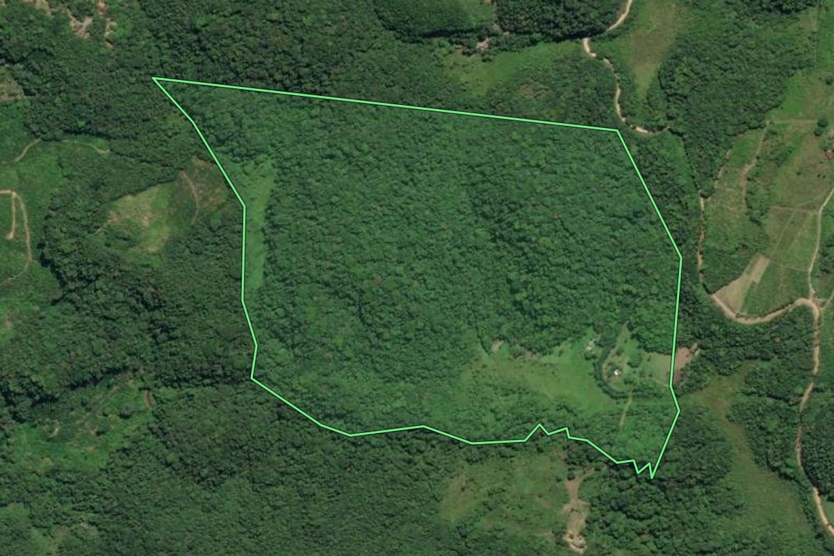 Imagem de satélite do imóvel rural em Juquiá (SP), com o contorno declarado no CAR desenhado por cima.