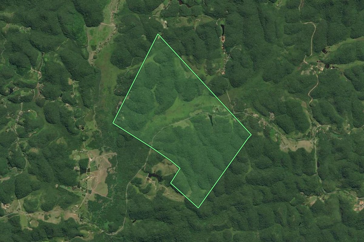 Imagem de satélite do imóvel rural em Juquiá (SP), com o contorno declarado no CAR desenhado por cima.