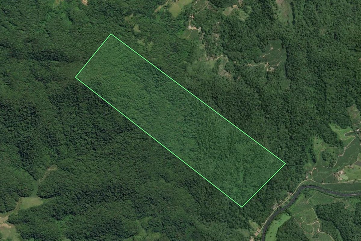 Imagem de satélite do imóvel rural em Juquiá (SP), com o contorno declarado no CAR desenhado por cima.