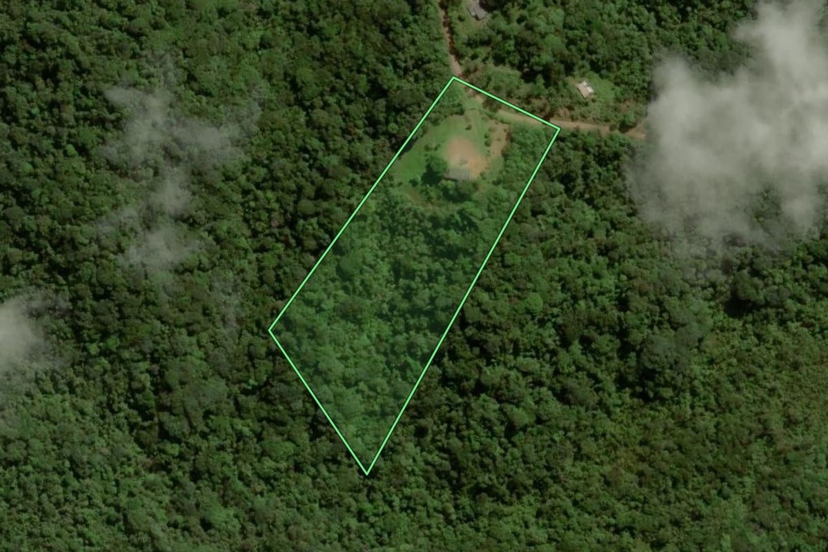 Imagem de satélite do imóvel rural em Juquitiba (SP), com o contorno declarado no CAR desenhado por cima.