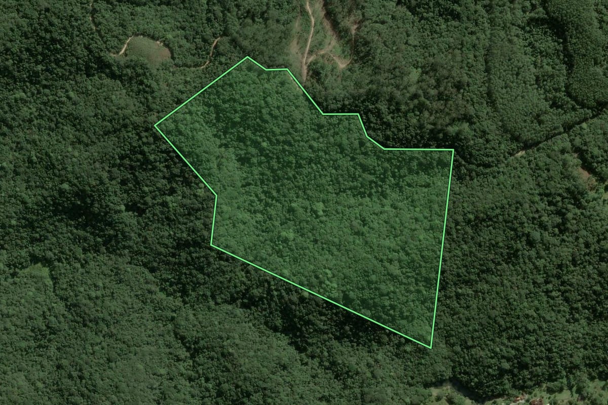 Imagem de satélite do imóvel rural em Juquitiba (SP), com o contorno declarado no CAR desenhado por cima.