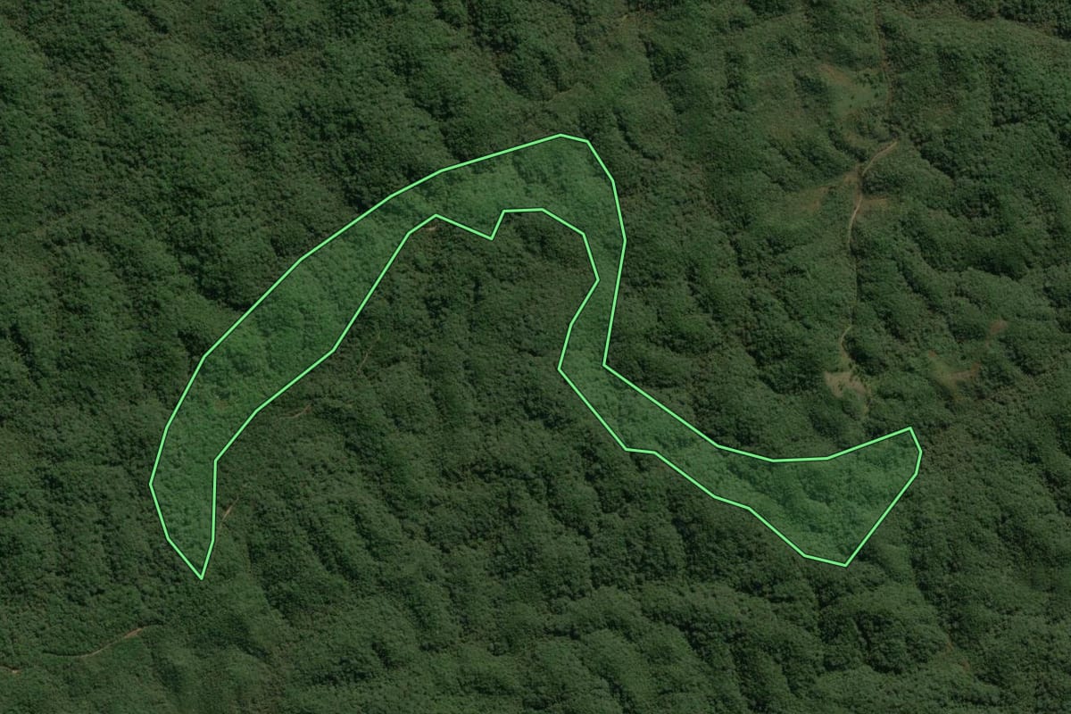 Imagem de satélite do imóvel rural em Juquitiba (SP), com o contorno declarado no CAR desenhado por cima.
