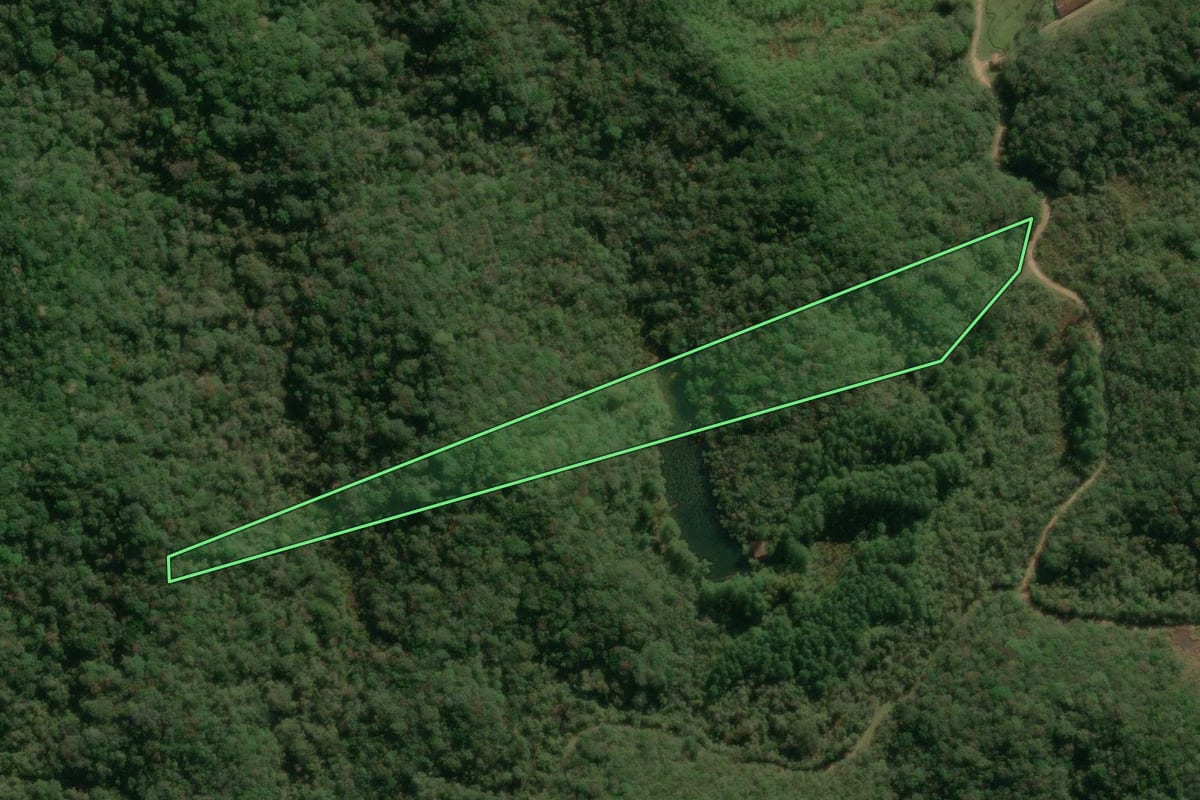 Imagem de satélite do imóvel rural em Juquitiba (SP), com o contorno declarado no CAR desenhado por cima.