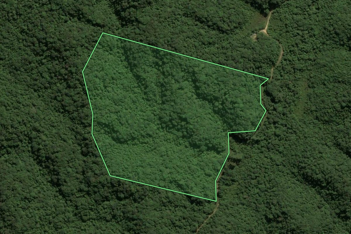 Imagem de satélite do imóvel rural em Juquitiba (SP), com o contorno declarado no CAR desenhado por cima.