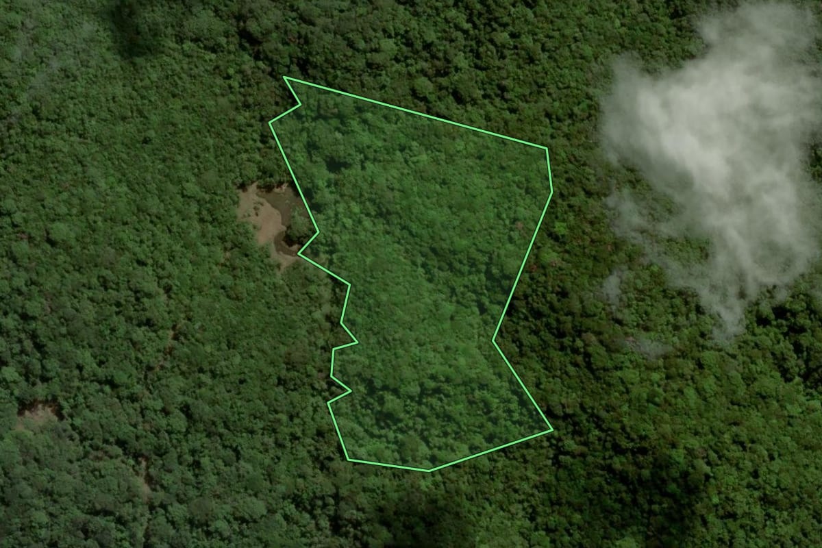 Imagem de satélite do imóvel rural em Juquitiba (SP), com o contorno declarado no CAR desenhado por cima.