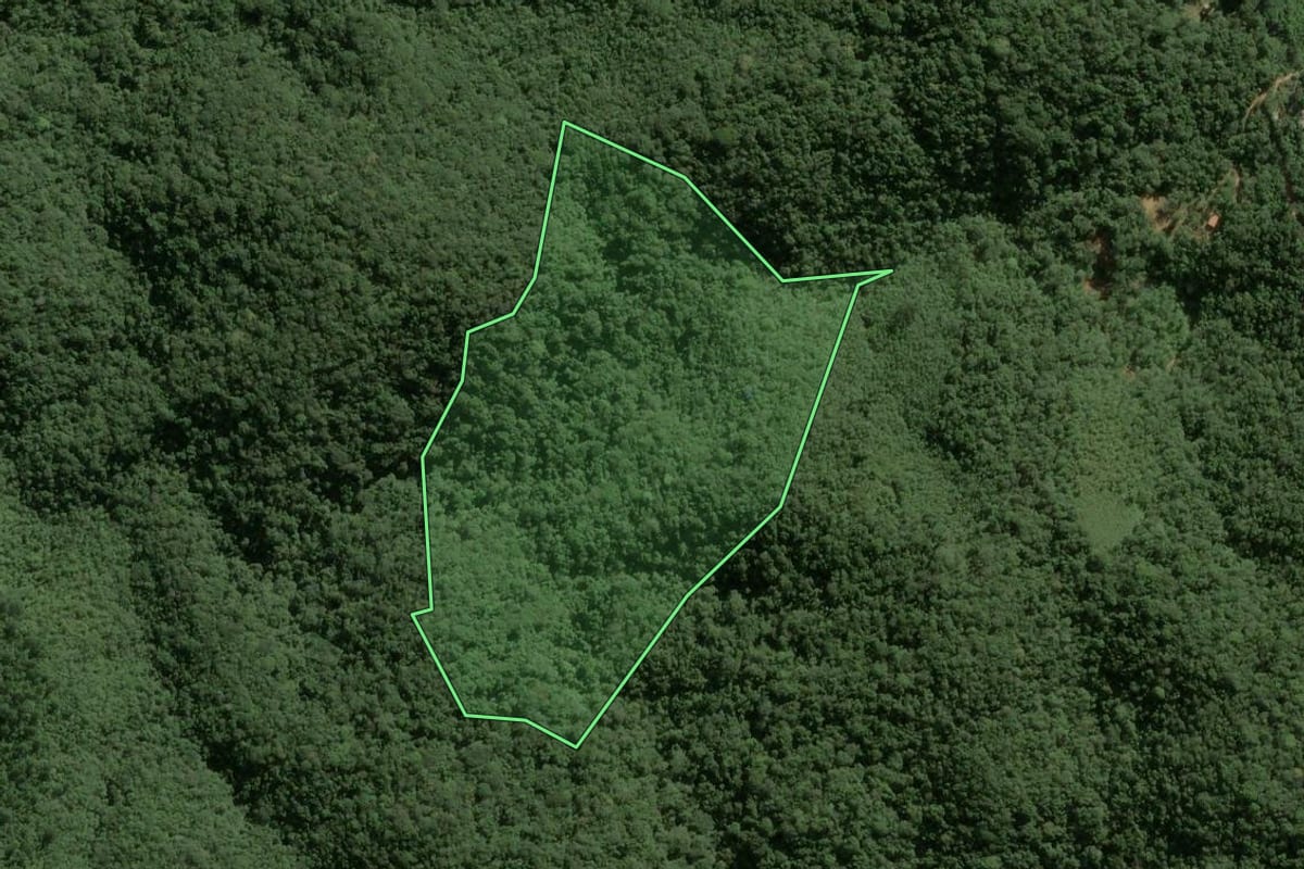 Imagem de satélite do imóvel rural em Juquitiba (SP), com o contorno declarado no CAR desenhado por cima.
