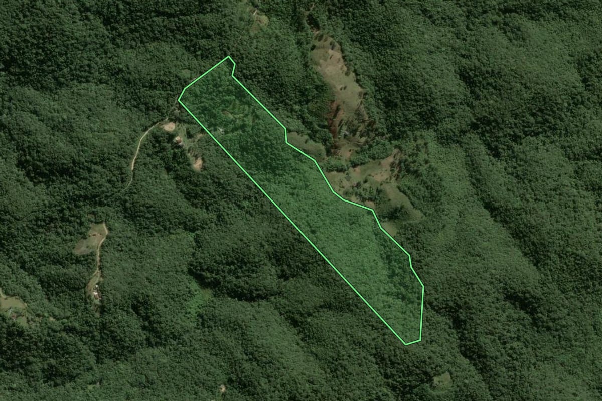 Imagem de satélite do imóvel rural em Juquitiba (SP), com o contorno declarado no CAR desenhado por cima.