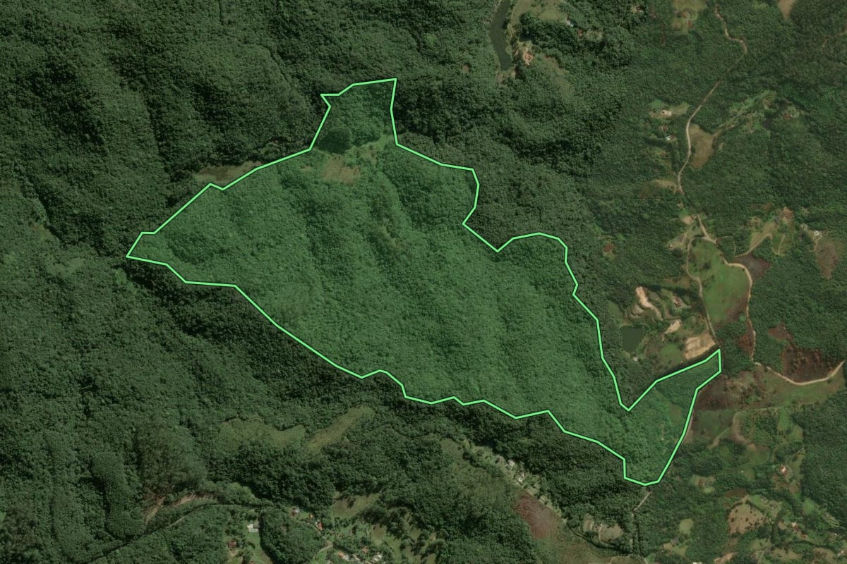 Imagem de satélite do imóvel rural em Juquitiba (SP), com o contorno declarado no CAR desenhado por cima.