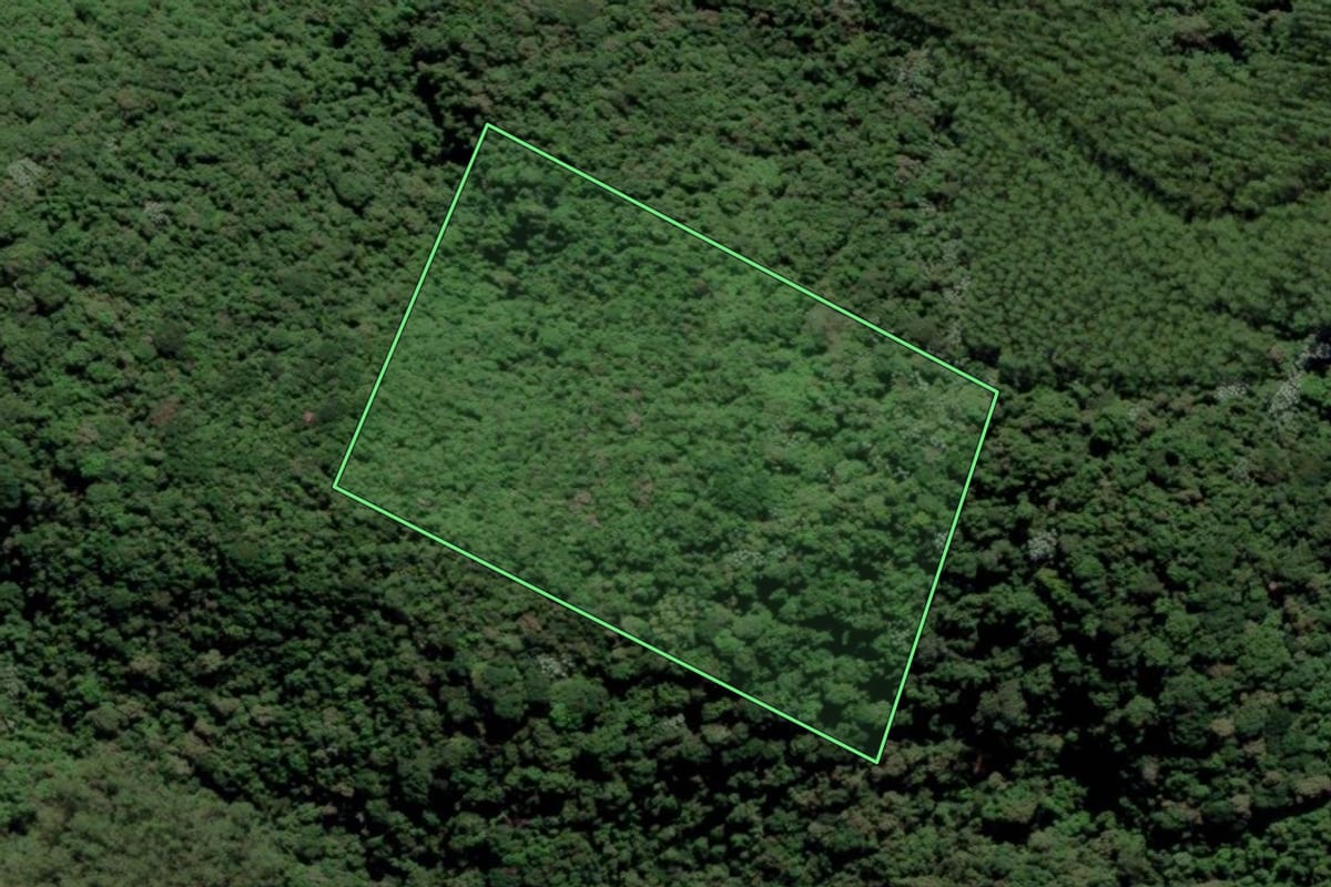 Imagem de satélite do imóvel rural em Juquitiba (SP), com o contorno declarado no CAR desenhado por cima.