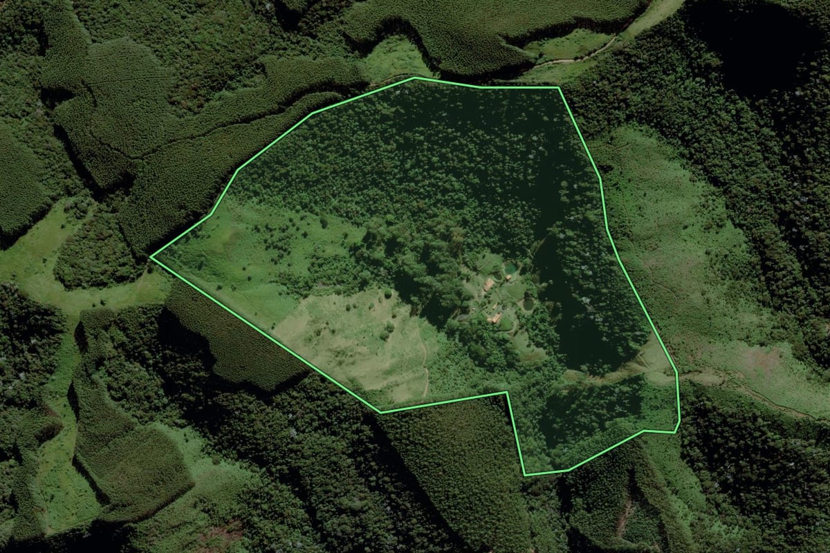 Imagem de satélite do imóvel rural em Lagoinha (SP), com o contorno declarado no CAR desenhado por cima.