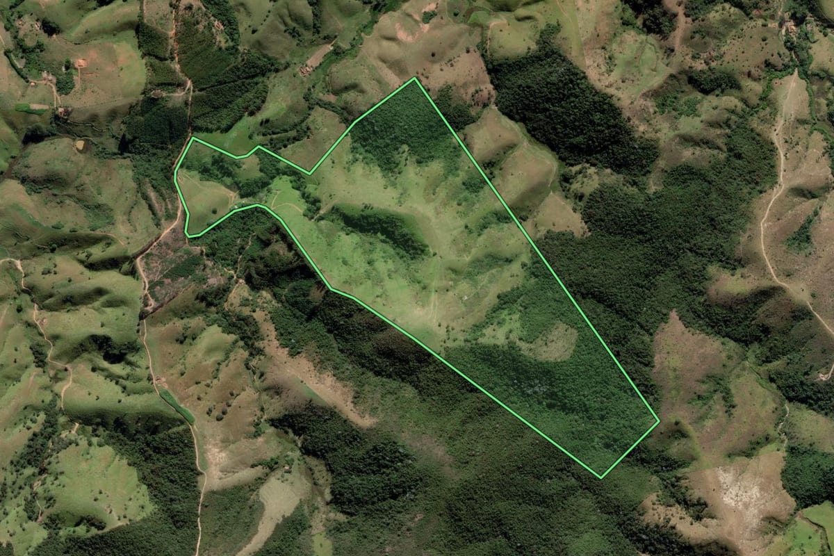 Imagem de satélite do imóvel rural em Lagoinha (SP), com o contorno declarado no CAR desenhado por cima.