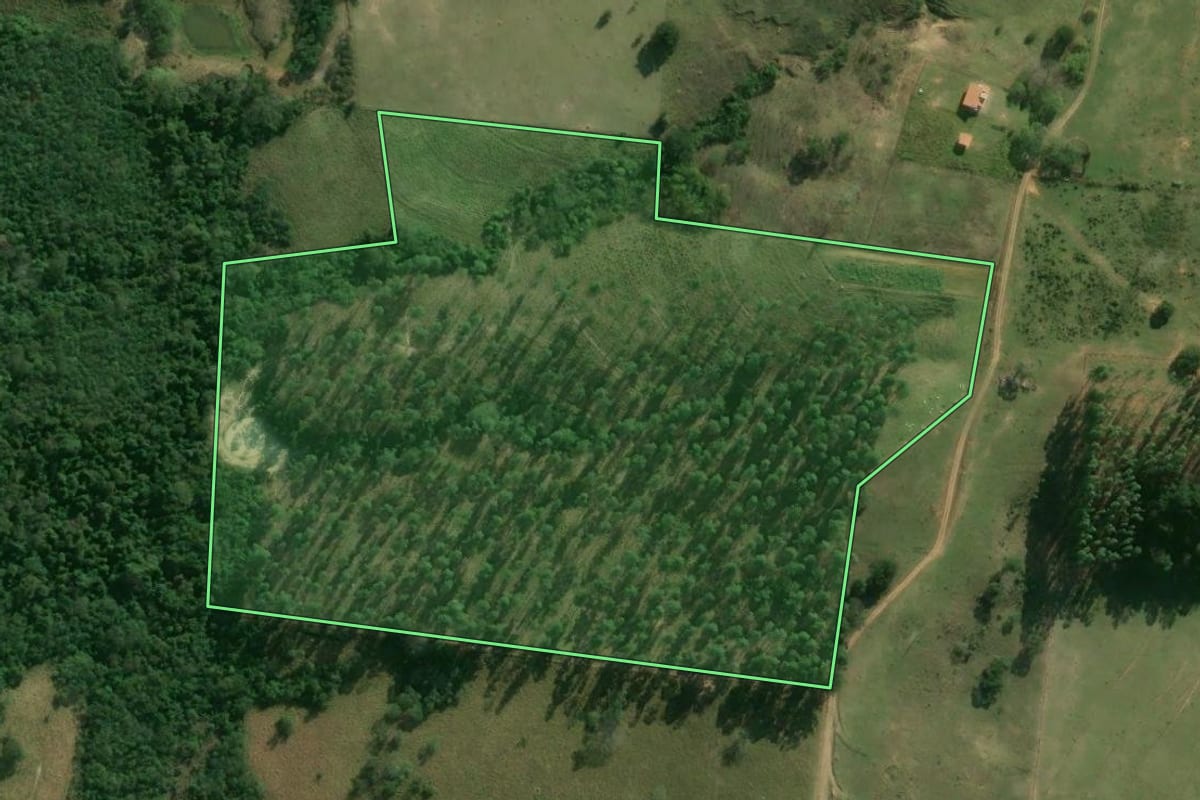 Imagem de satélite do imóvel rural em Laranjal Paulista (SP), com o contorno declarado no CAR desenhado por cima.