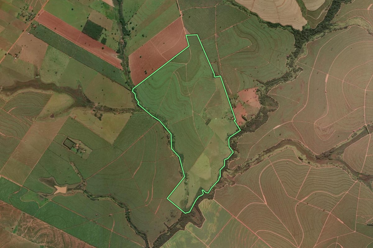Imagem de satélite do imóvel rural em Lavínia (SP), com o contorno declarado no CAR desenhado por cima.
