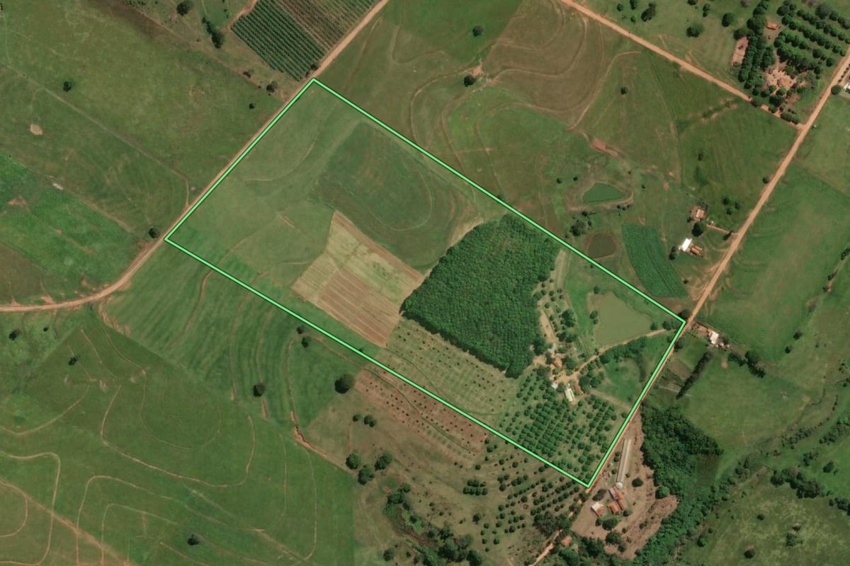 Imagem de satélite do imóvel rural em Lavínia (SP), com o contorno declarado no CAR desenhado por cima.