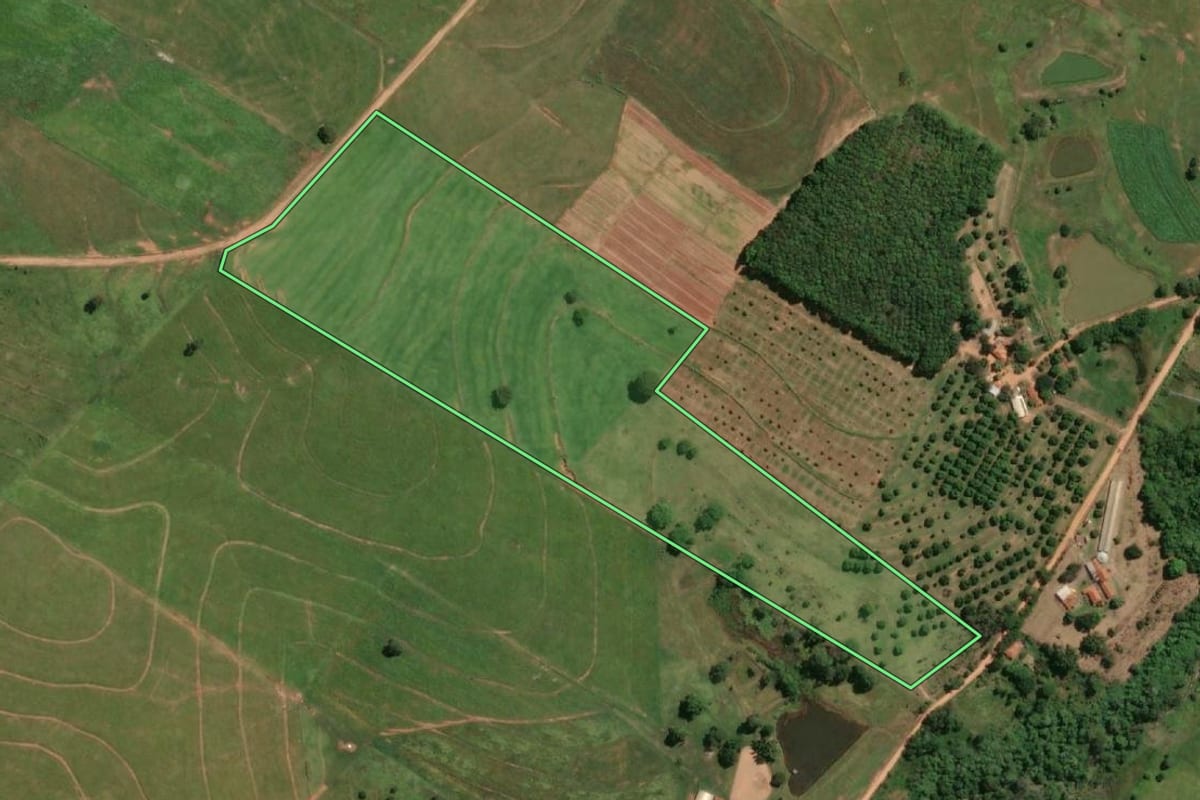 Imagem de satélite do imóvel rural em Lavínia (SP), com o contorno declarado no CAR desenhado por cima.