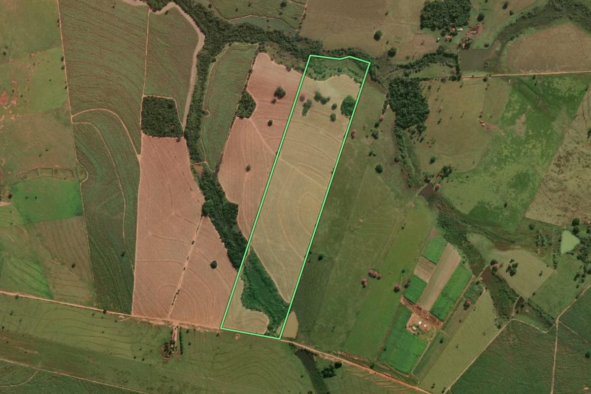 Imagem de satélite do imóvel rural em Lavínia (SP), com o contorno declarado no CAR desenhado por cima.