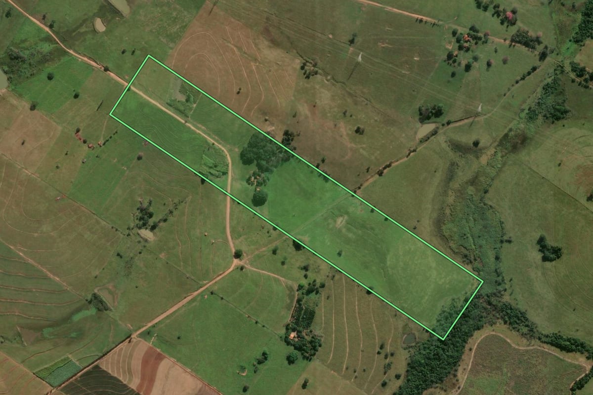 Imagem de satélite do imóvel rural em Lavínia (SP), com o contorno declarado no CAR desenhado por cima.