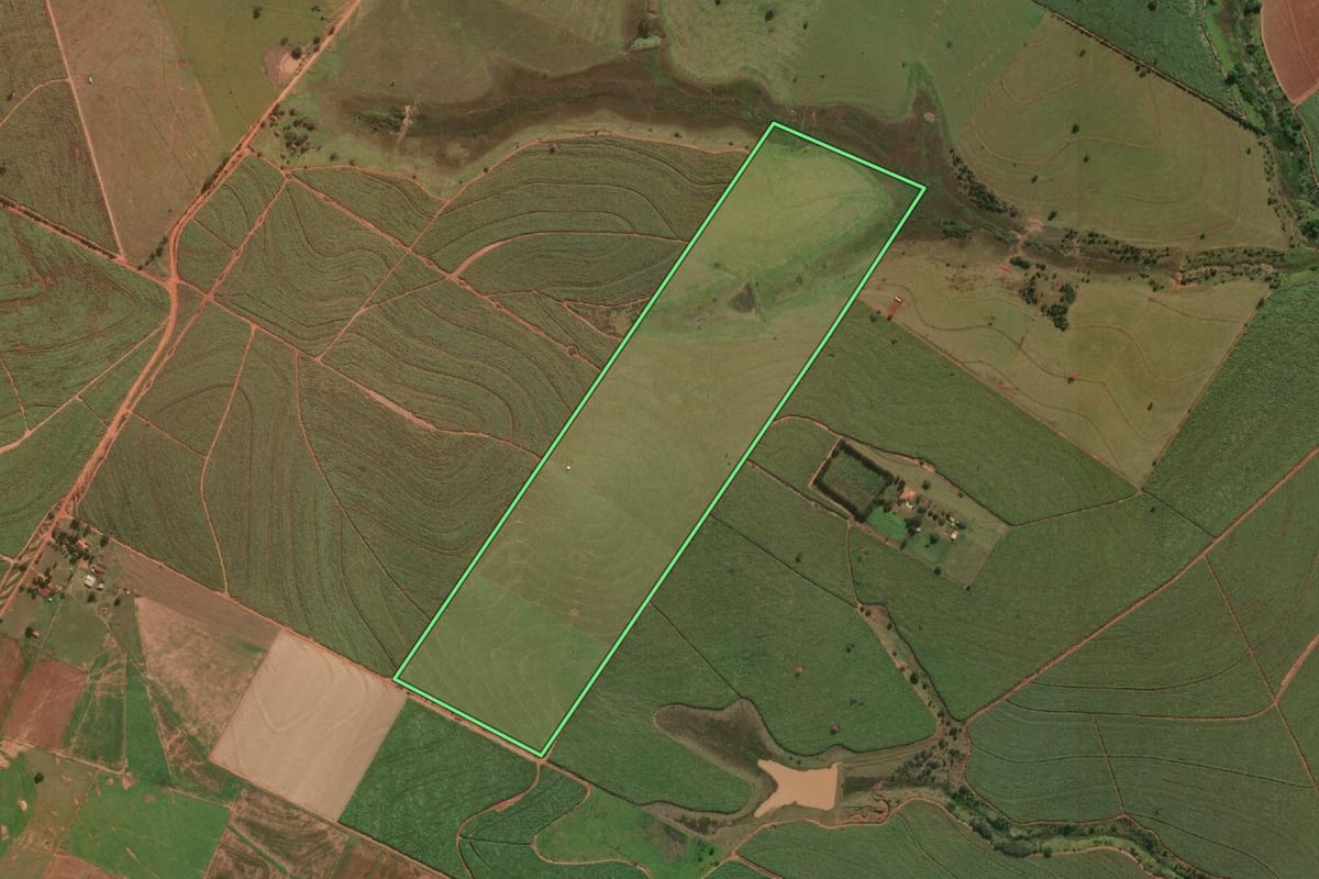 Imagem de satélite do imóvel rural em Lavínia (SP), com o contorno declarado no CAR desenhado por cima.