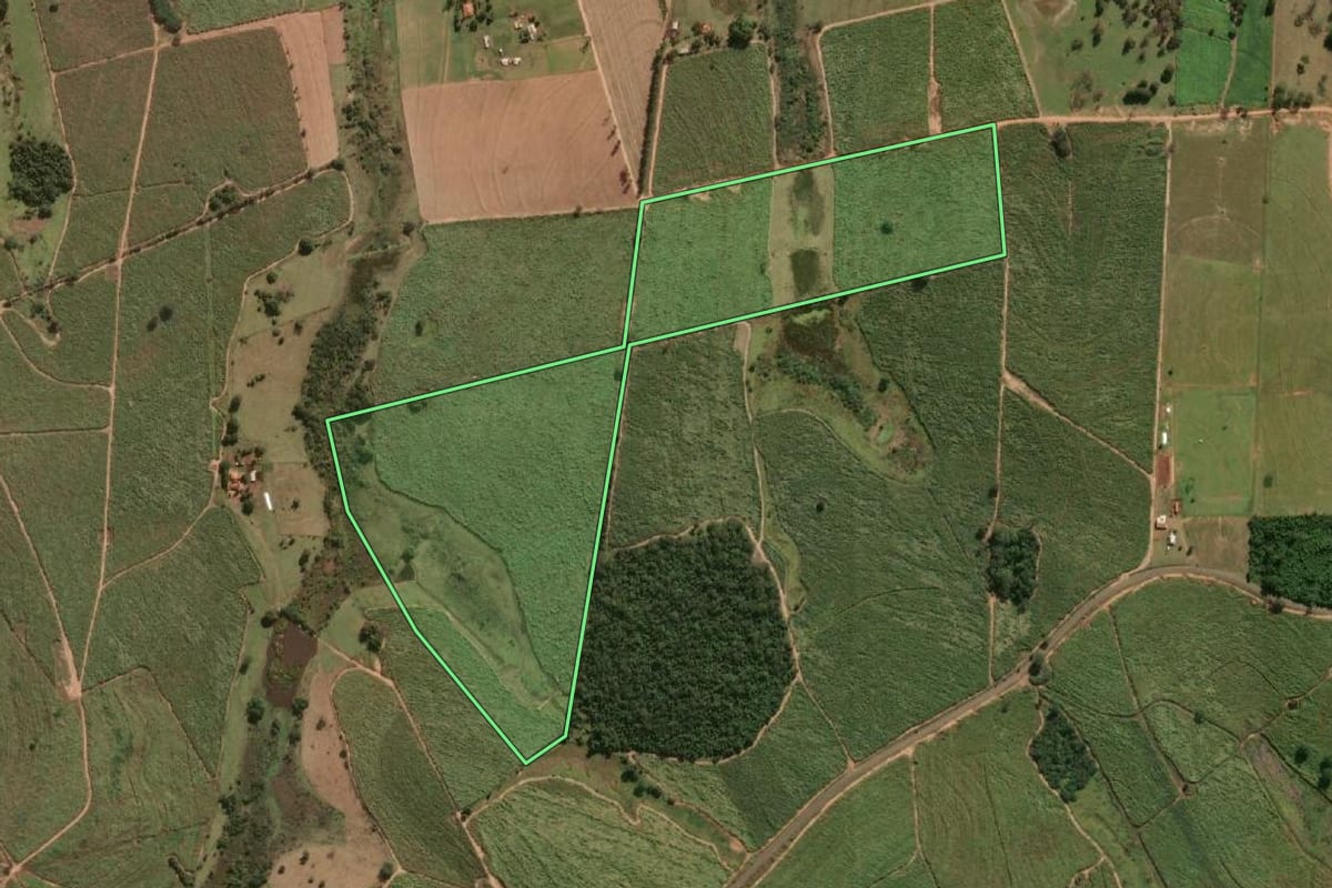 Imagem de satélite do imóvel rural em Lavínia (SP), com o contorno declarado no CAR desenhado por cima.