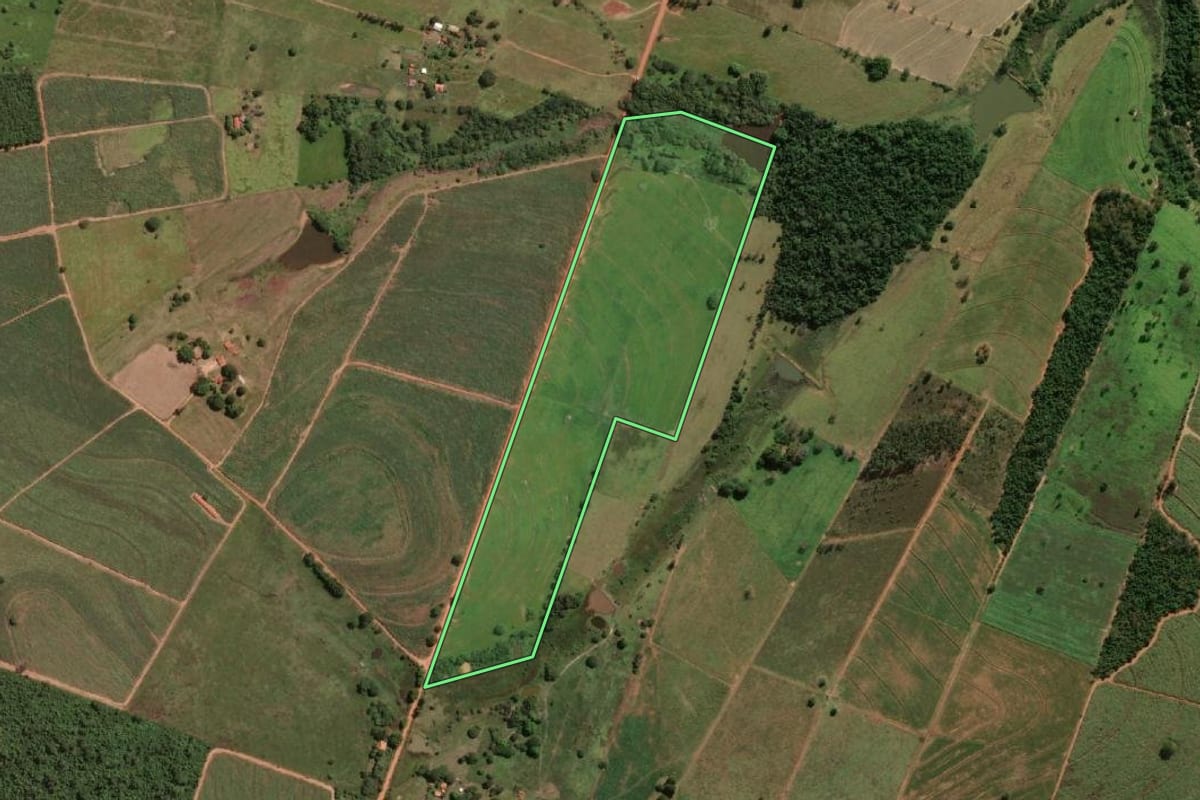 Imagem de satélite do imóvel rural em Lavínia (SP), com o contorno declarado no CAR desenhado por cima.