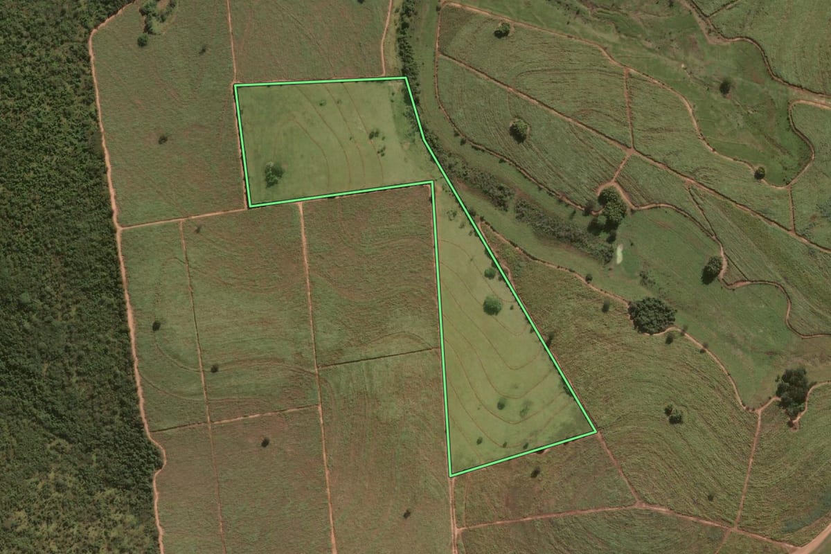 Imagem de satélite do imóvel rural em Lavínia (SP), com o contorno declarado no CAR desenhado por cima.