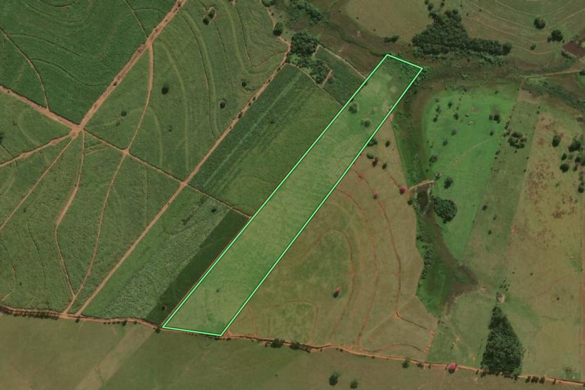Imagem de satélite do imóvel rural em Lavínia (SP), com o contorno declarado no CAR desenhado por cima.