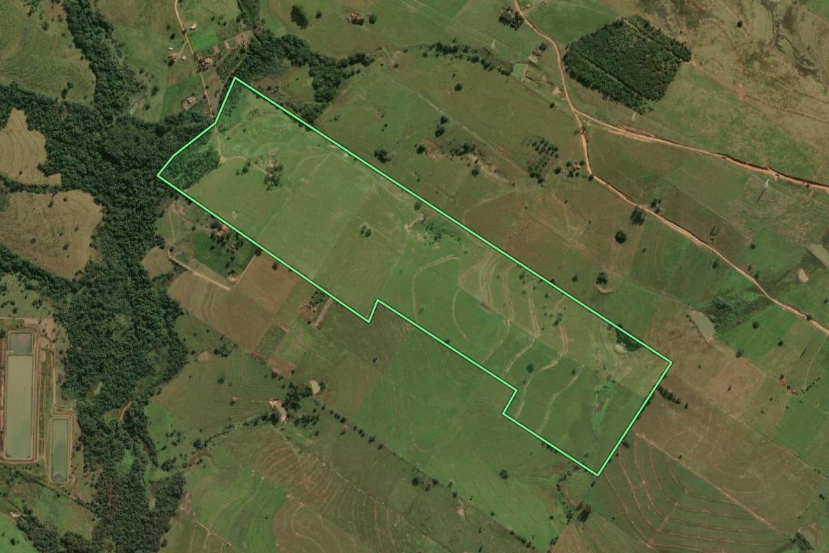 Imagem de satélite do imóvel rural em Lavínia (SP), com o contorno declarado no CAR desenhado por cima.