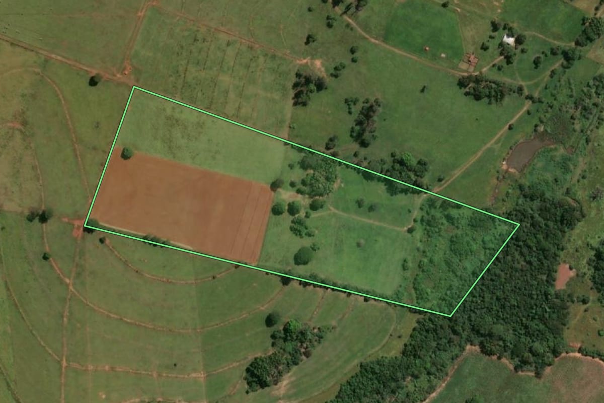 Imagem de satélite do imóvel rural em Lavínia (SP), com o contorno declarado no CAR desenhado por cima.