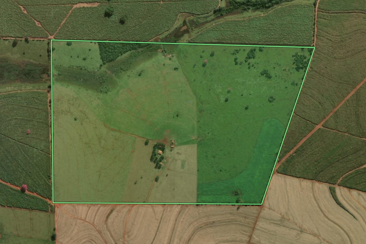 Imagem de satélite do imóvel rural em Lavínia (SP), com o contorno declarado no CAR desenhado por cima.