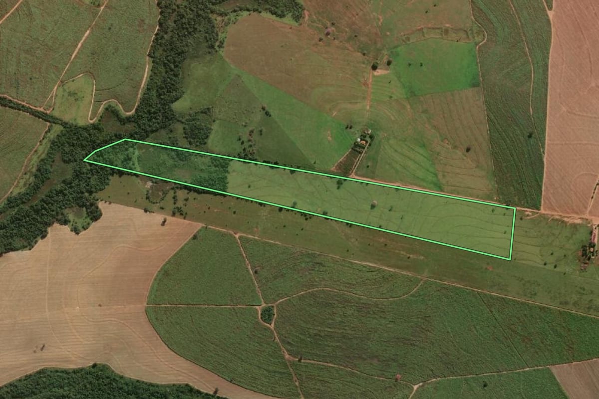 Imagem de satélite do imóvel rural em Lavínia (SP), com o contorno declarado no CAR desenhado por cima.