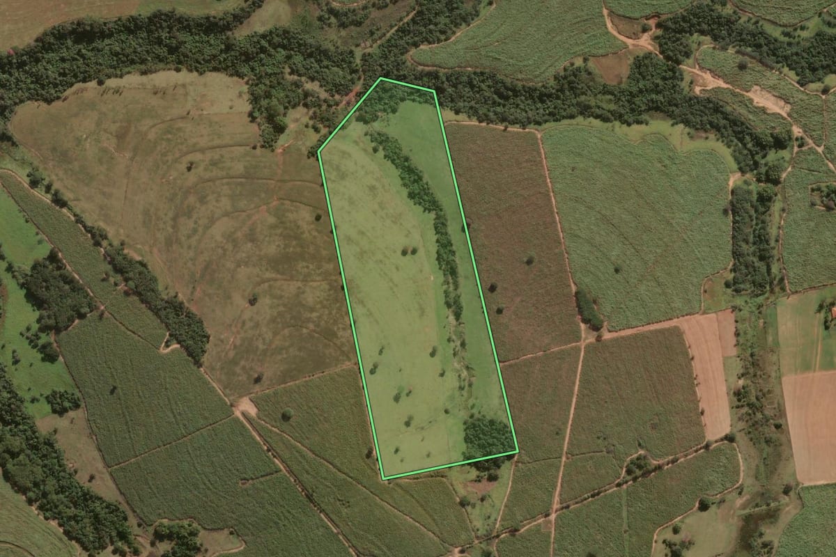Imagem de satélite do imóvel rural em Lavínia (SP), com o contorno declarado no CAR desenhado por cima.