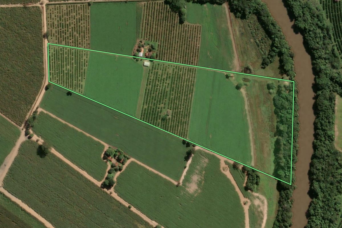 Imagem de satélite do imóvel rural em Leme (SP), com o contorno declarado no CAR desenhado por cima.