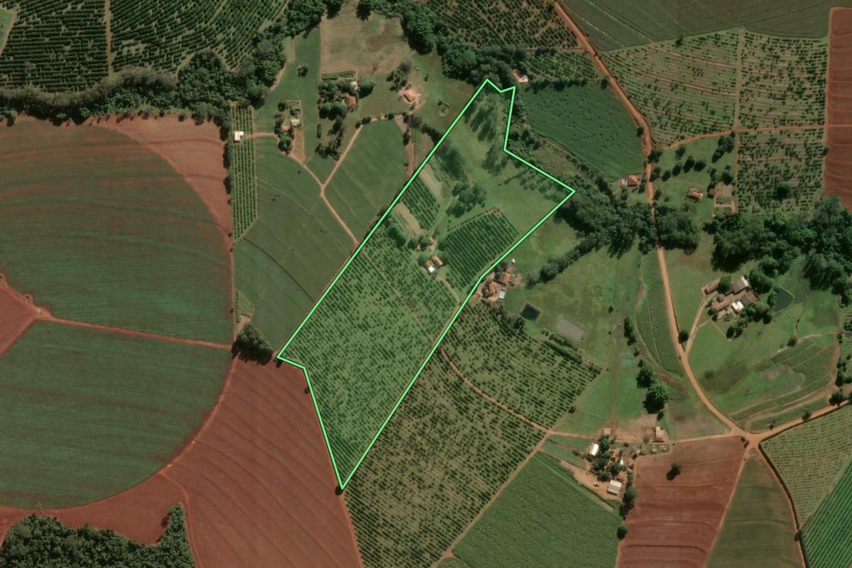 Imagem de satélite do imóvel rural em Leme (SP), com o contorno declarado no CAR desenhado por cima.