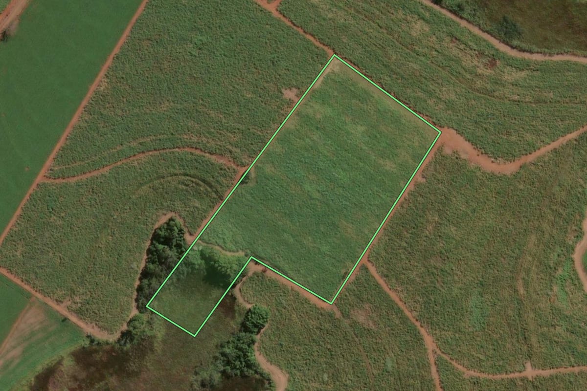 Imagem de satélite do imóvel rural em Leme (SP), com o contorno declarado no CAR desenhado por cima.