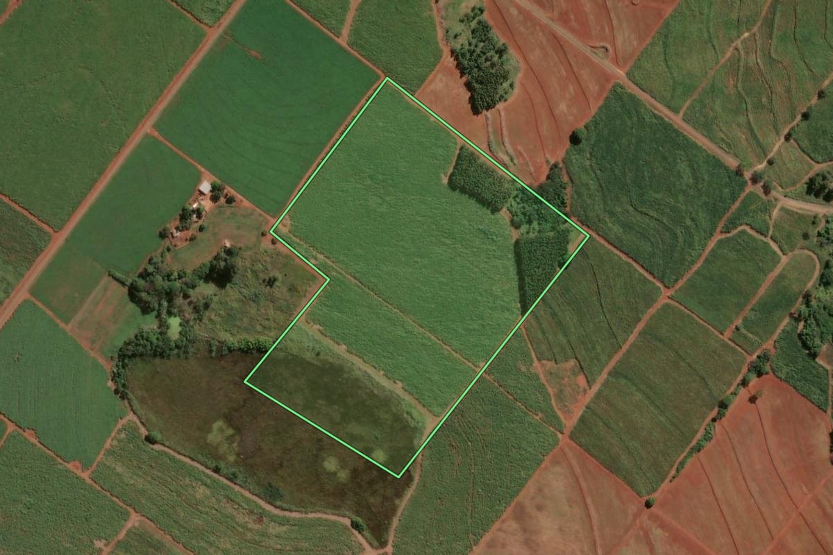 Imagem de satélite do imóvel rural em Leme (SP), com o contorno declarado no CAR desenhado por cima.