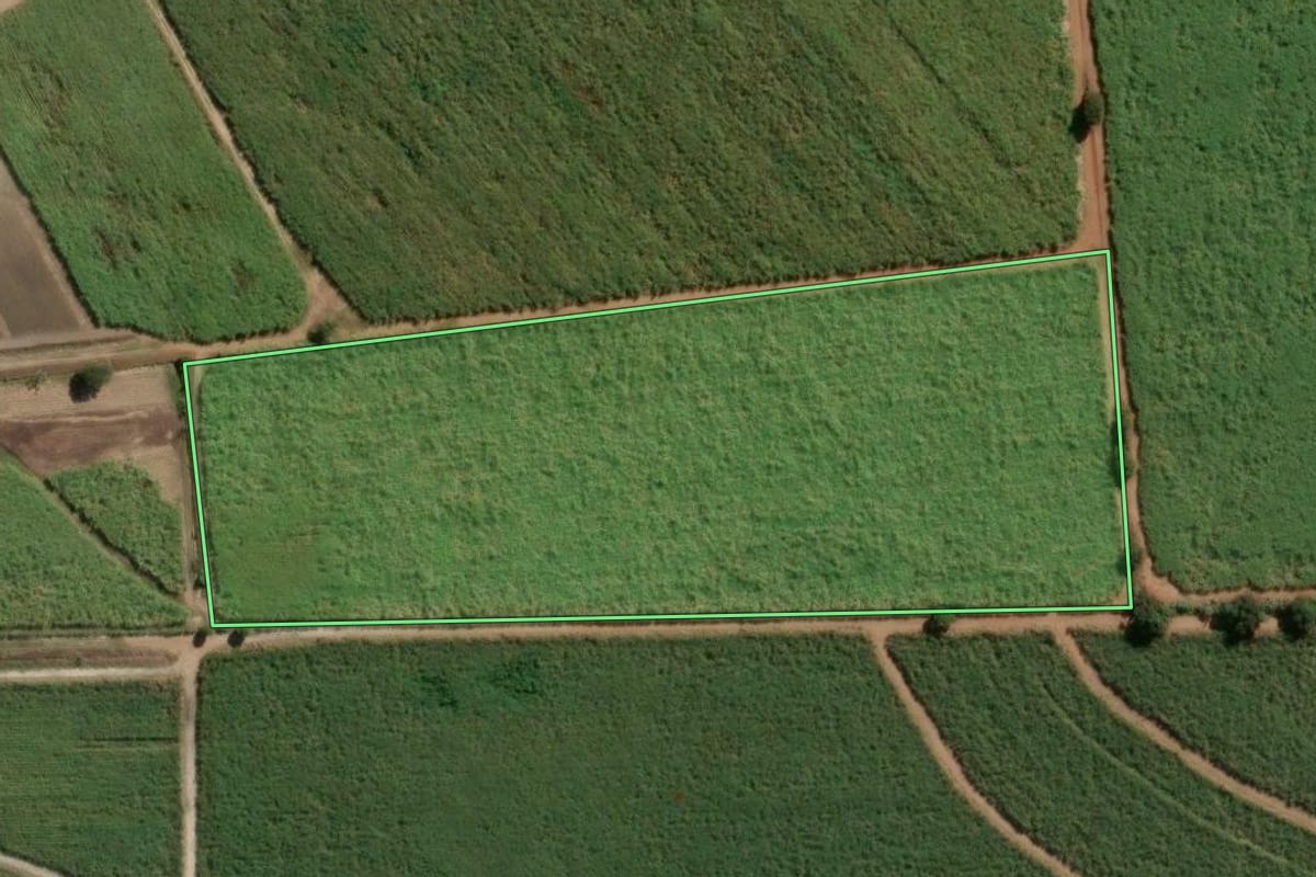 Imagem de satélite do imóvel rural em Leme (SP), com o contorno declarado no CAR desenhado por cima.