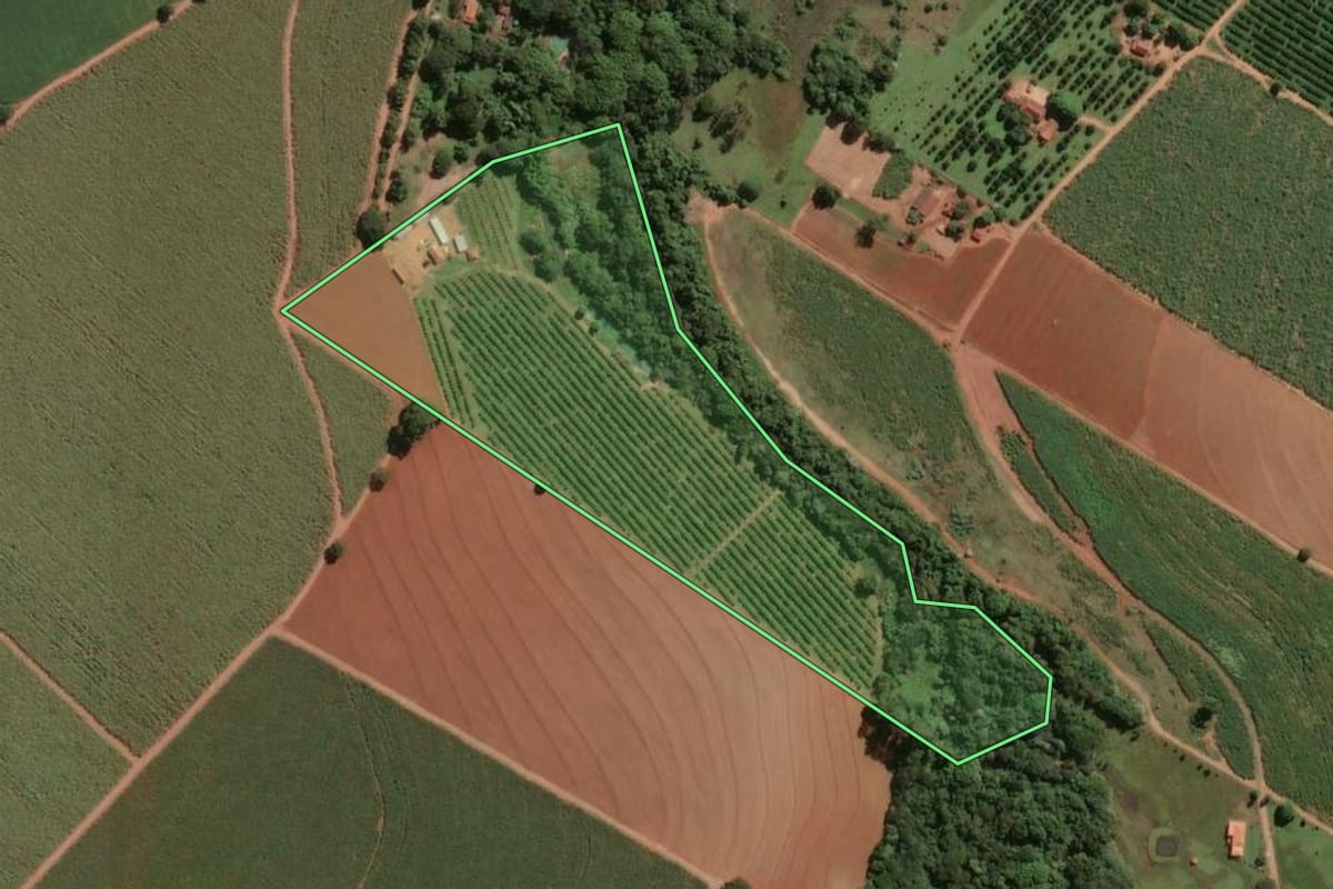 Imagem de satélite do imóvel rural em Leme (SP), com o contorno declarado no CAR desenhado por cima.