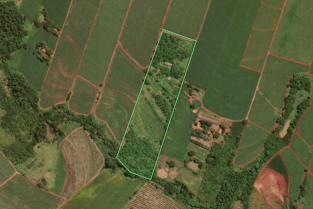 Imagem de satélite do imóvel rural em Leme (SP), com o contorno declarado no CAR desenhado por cima.