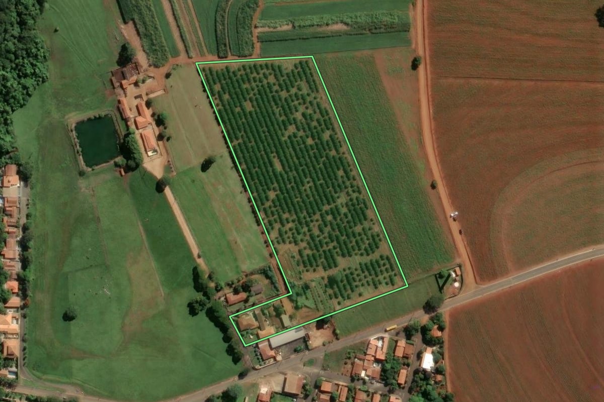 Imagem de satélite do imóvel rural em Leme (SP), com o contorno declarado no CAR desenhado por cima.