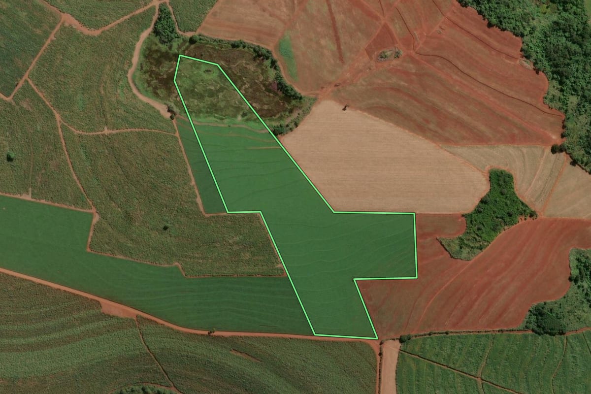 Imagem de satélite do imóvel rural em Leme (SP), com o contorno declarado no CAR desenhado por cima.