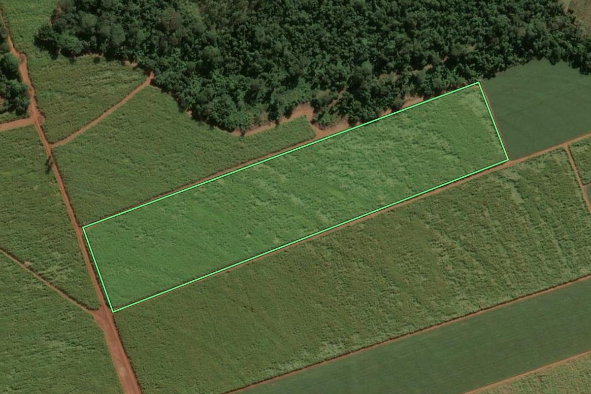 Imagem de satélite do imóvel rural em Leme (SP), com o contorno declarado no CAR desenhado por cima.
