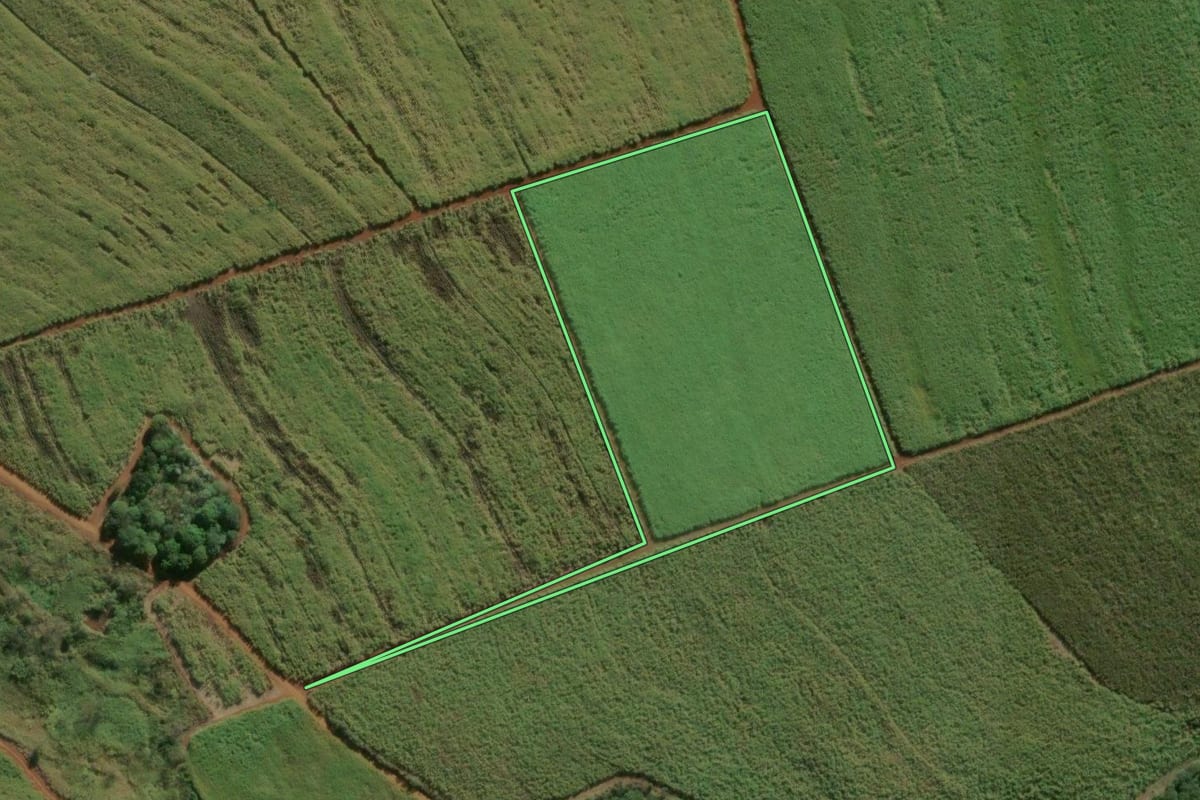 Imagem de satélite do imóvel rural em Leme (SP), com o contorno declarado no CAR desenhado por cima.