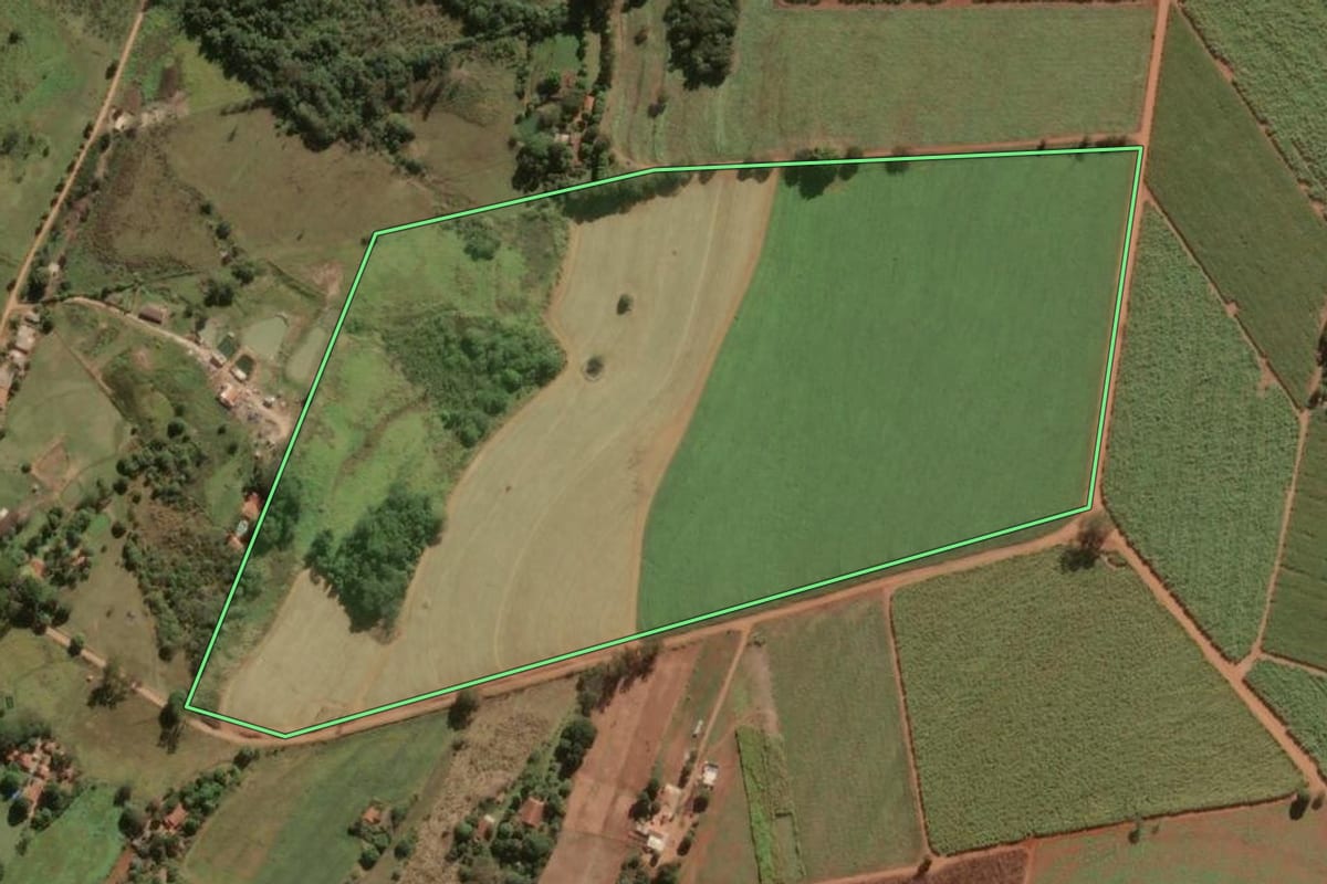 Imagem de satélite do imóvel rural em Leme (SP), com o contorno declarado no CAR desenhado por cima.