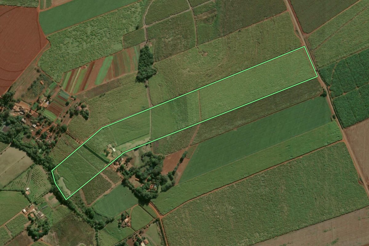 Imagem de satélite do imóvel rural em Leme (SP), com o contorno declarado no CAR desenhado por cima.