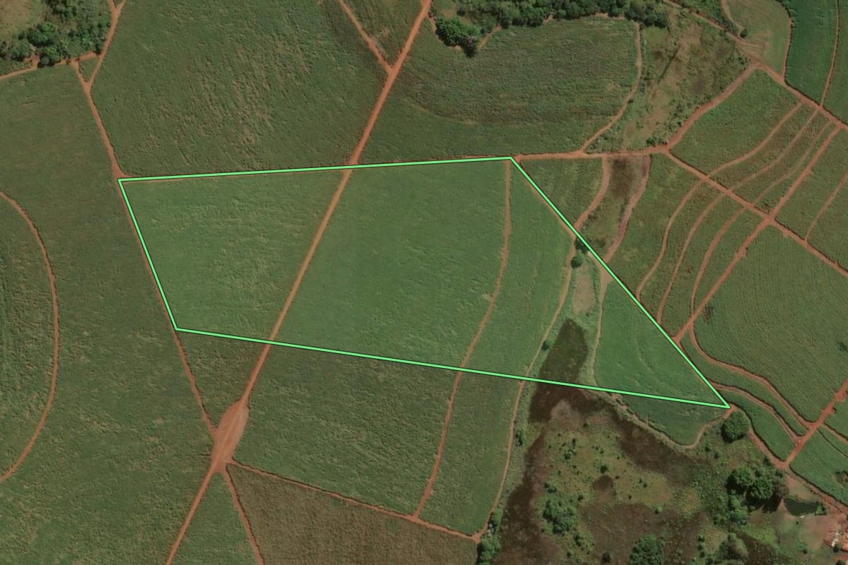 Imagem de satélite do imóvel rural em Leme (SP), com o contorno declarado no CAR desenhado por cima.